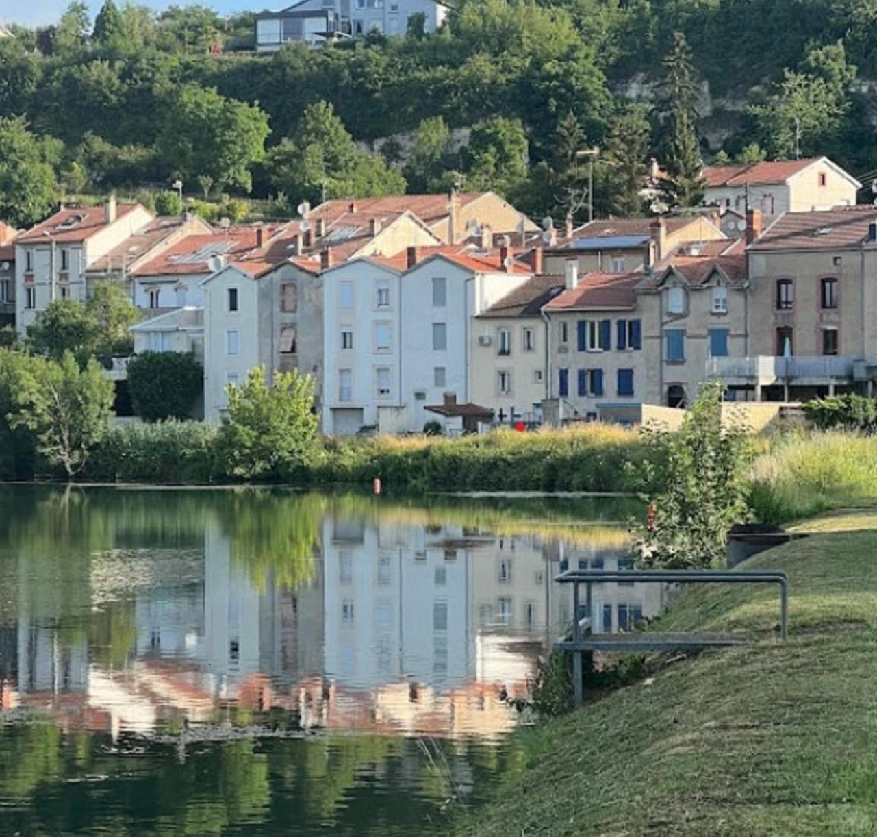 Jolie, Cozy, Confortable Maison De Ville Au Calme A 5Min Du Centre De Verdun, Parking Devant La Maison Belleville-Sur-Meuse Ngoại thất bức ảnh